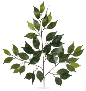 Liść beniamina zielony KDG18-G