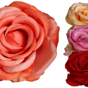 Róża wyrobowa FXT019 śr10/h6cm