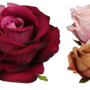 Róża wyrobowa welur P15-5H śr8/h7cm