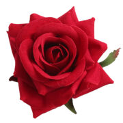 Róża wyrobowa welur CV23968
