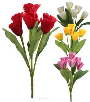 Bukiet tulipan x7 TF530 43cm
