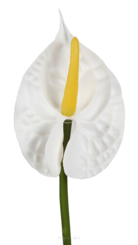 biały