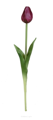 Tulipan gumowy CV13553 46cm