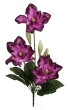 fioletowy z ciemnym brzegiem MIX15