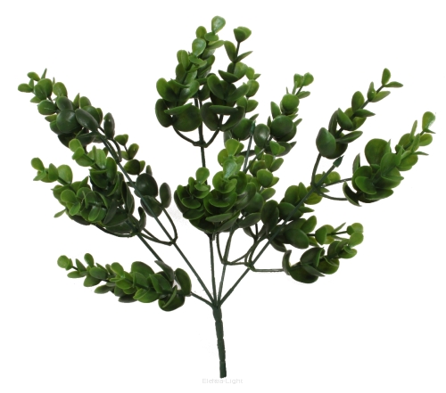 Bukiet eukaliptusa KDGE673 30cm 