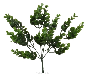 Bukiet eukaliptusa KDGE673 30cm 