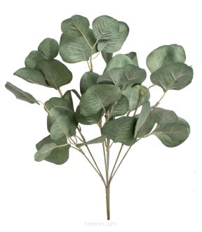 Bukiet eukaliptusa CV14449 35cm