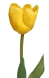 6 żółty