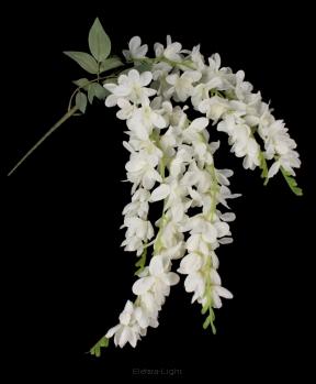 Wisteria średnia 248CAN314682 67cm