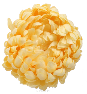 Chryzantema wyrobowa KDGT30 śr11cm