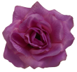 fioletowy z różowym dnem #12