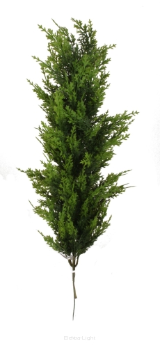 Gałąź tui 124CAN503 65cm